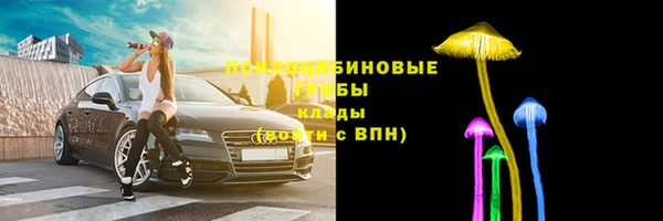 МДПВ Майский